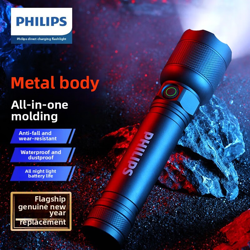 2025 NEW Philips SFL2188 LED A - огляд і ціна Outdoor Lighting Nearby