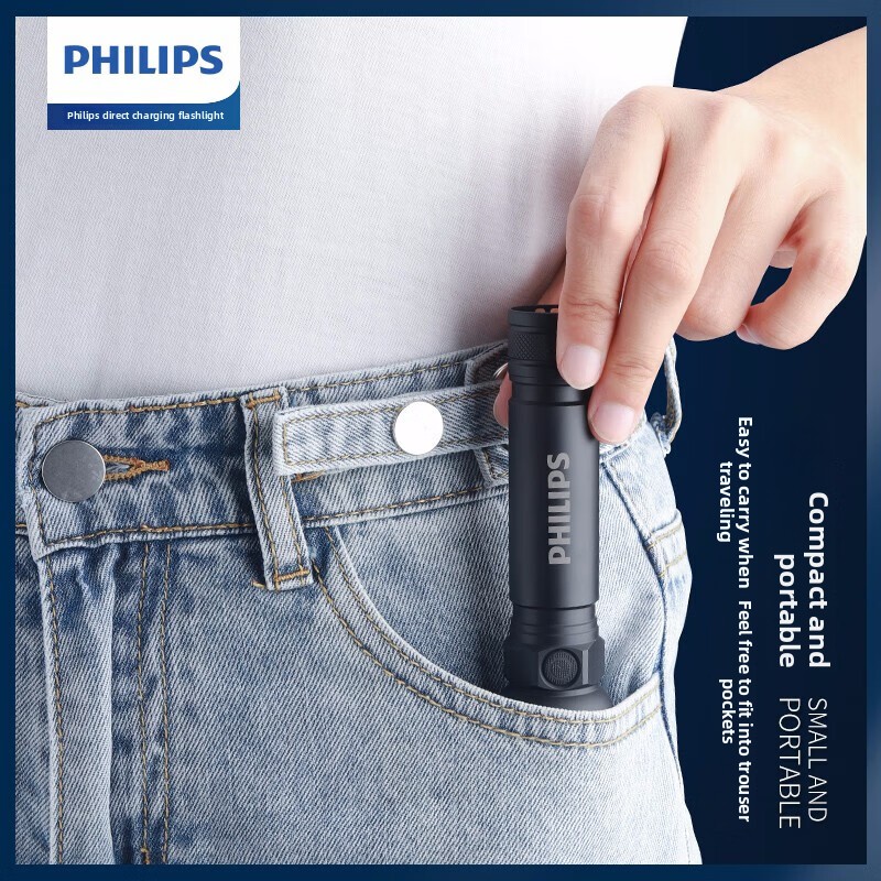 2025 NEW Philips SFL2188 LED A - огляд і ціна Outdoor Lighting Nearby