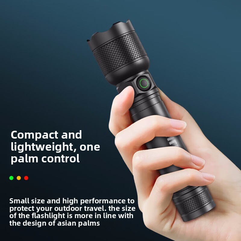 2025 NEW Philips SFL2188 LED A - огляд і ціна Outdoor Lighting Nearby